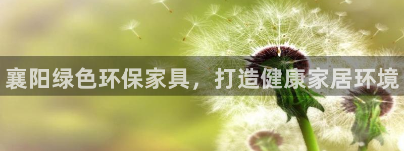 杏耀代理日工资多少
