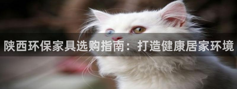 杏耀平台代理怎么赚钱的