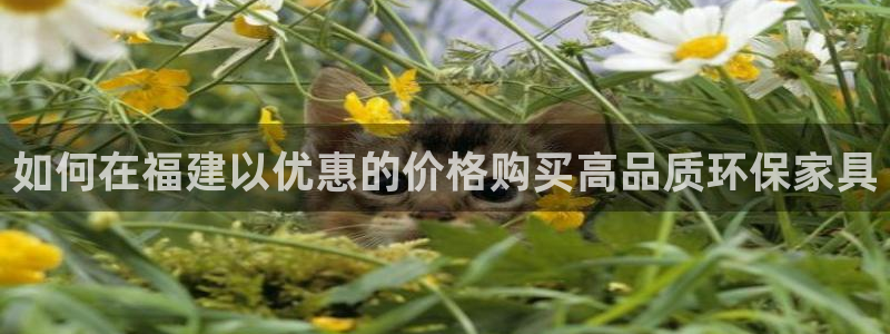 杏耀平台代理怎么赚钱