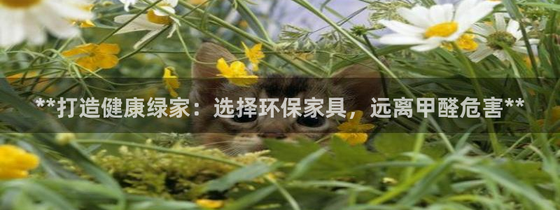 杏耀测速娱乐