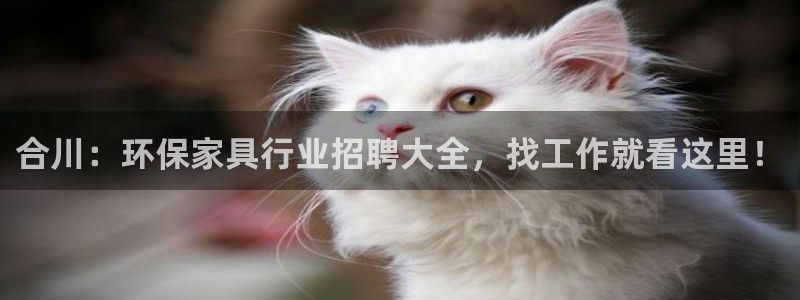 杏耀平台主管