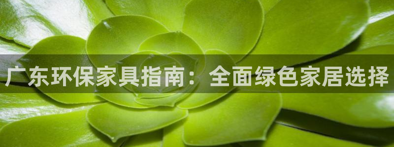 杏耀平台代理怎么赚钱