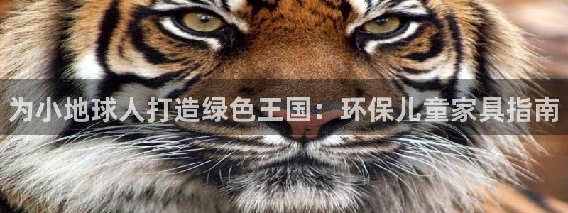 杏耀登入官网
