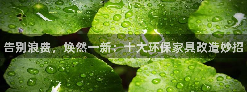 杏耀平台线路