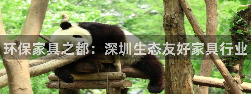 杏耀平台网页版