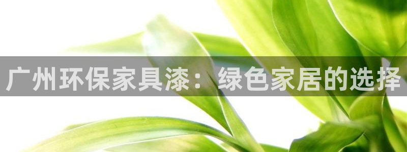 杏耀官网娱乐：广州环保家具漆：绿色家居的选择