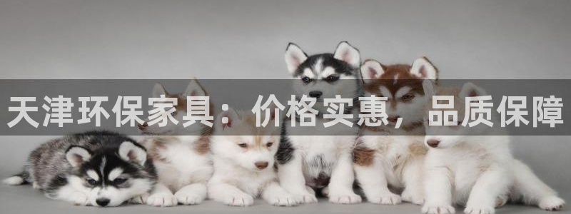 杏耀平台代理登录网址是什么