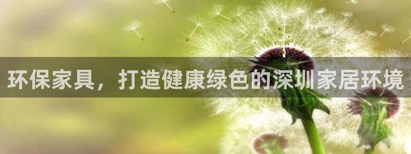 杏耀管网登录：环保家具，打造健康绿色的深圳家居环境