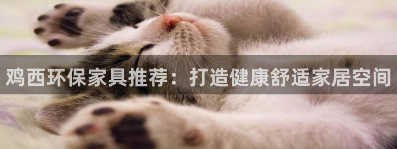 杏耀测速登录地址：鸡西环保家具推荐：打造健康舒适家居空间