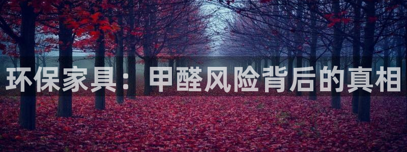 杏耀平台在哪里：环保家具：甲醛风险背后的真相