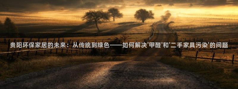 杏耀平台测速登录：贵阳环保家居的未来：从传统到绿色——如何解