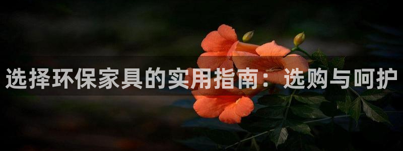 杏耀平台在哪里：选择环保家具的实用指南：选购与呵护