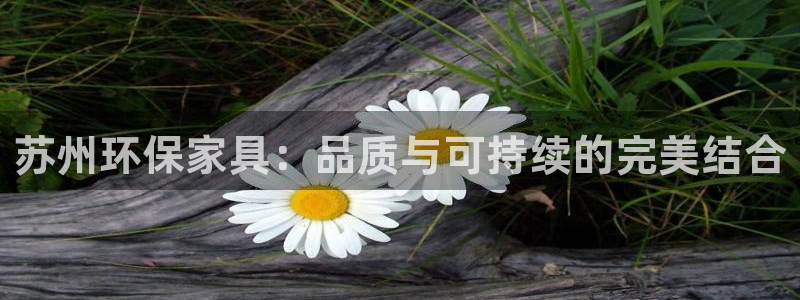 杏耀平台怎么注册：苏州环保家具：品质与可持续的完美结合