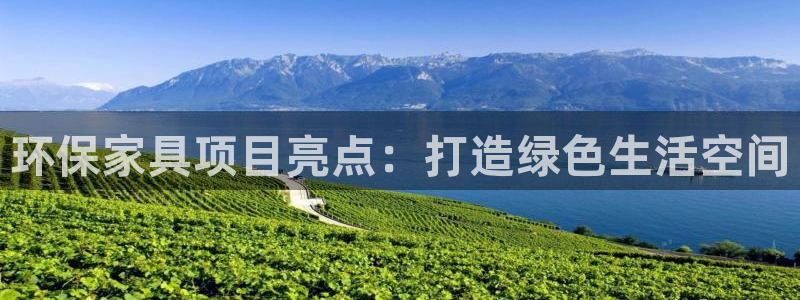 杏耀注册主管：环保家具项目亮点：打造绿色生活空间