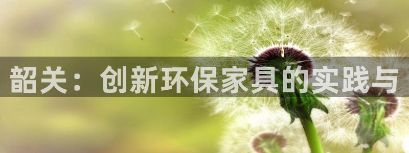 杏耀平台客户端：韶关：创新环保家具的实践与