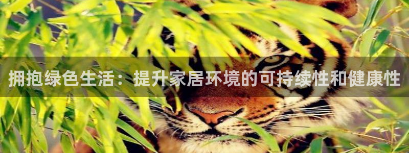 杏耀平台代理登录网址是多少：拥抱绿色生活：提升家居环境的可持