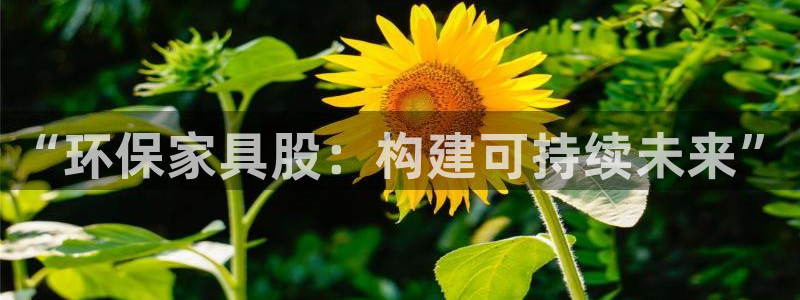 杏耀代理日工资多少：“环保家具股：构建可持续未来”