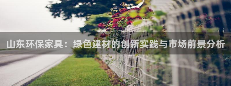 杏耀平台注册流程：山东环保家具：绿色建材的创新实践与市场前景