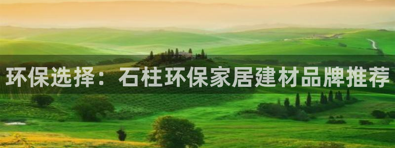 杏耀平台客服：环保选择：石柱环保家居建材品牌推荐