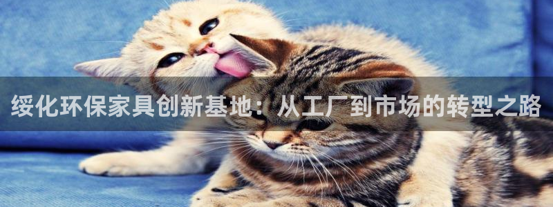 杏耀注册平台官网：绥化环保家具创新基地：从工厂到市场的转型之