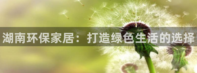 杏耀平台注册：湖南环保家居：打造绿色生活的选择