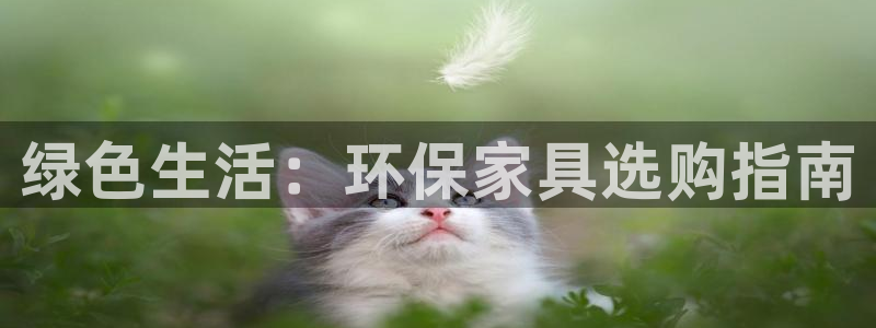杏耀平台官方网站下载：绿色生活：环保家具选购指南