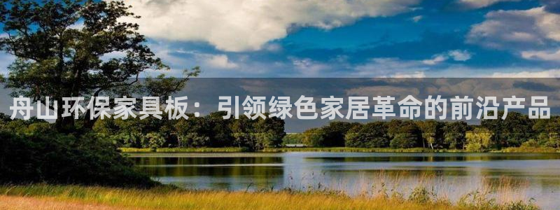 杏耀如何注册：舟山环保家具板：引领绿色家居革命的前沿产品