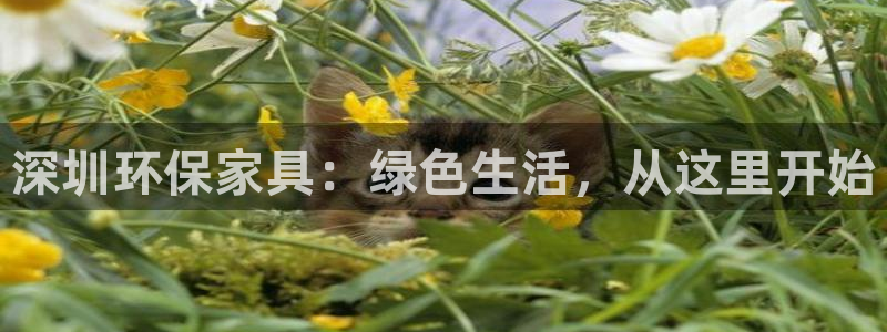 杏耀注册中心