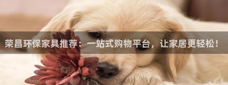 杏耀平台可以提款吗