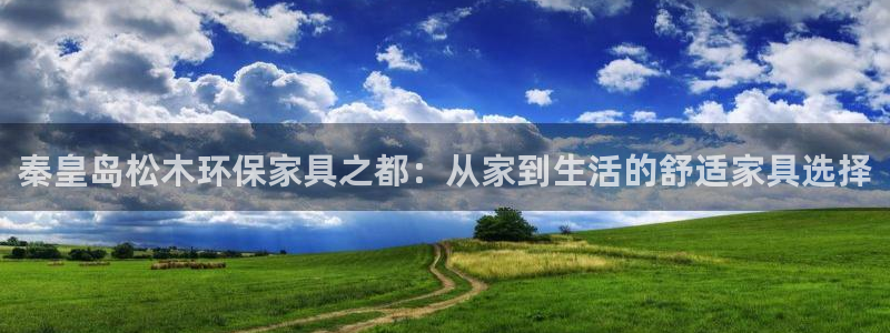 杏耀平台代理怎么赚钱快：秦皇岛松木环保家具之都：从家到生活的
