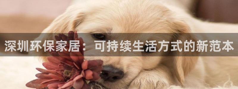 杏耀登陆线路