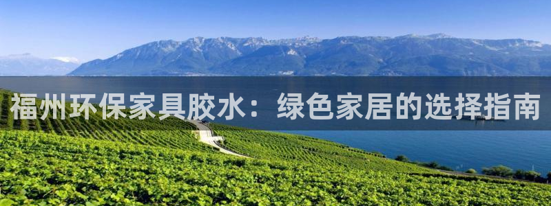 杏耀平台是真的吗：福州环保家具胶水：绿色家居的选择指南