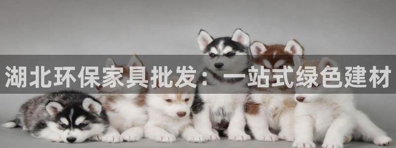杏耀官网游戏