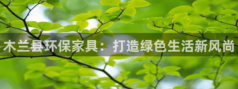 杏耀平台服务中心：木兰县环保家具：打造绿色生活新风尚