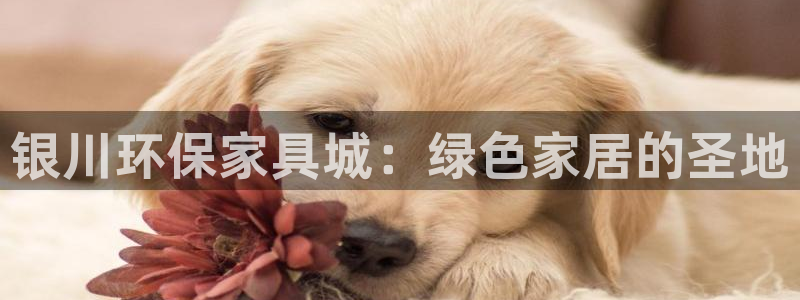 杏耀官方测速：银川环保家具城：绿色家居的圣地