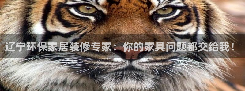 杏耀注册登录平台：辽宁环保家居装修专家：你的家具问题都交给我