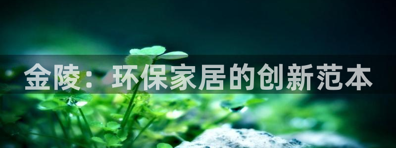 杏耀代理登录中心怎么进：金陵：环保家居的创新范本