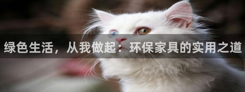 杏耀代理注册：绿色生活，从我做起：环保家具的实用之道