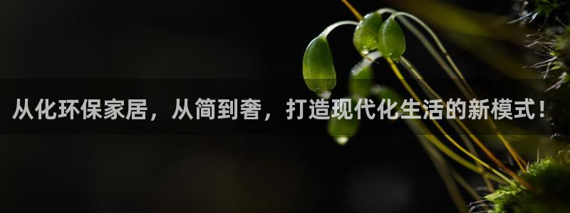 杏耀测速娱乐：从化环保家居，从简到奢，打造现代化生活的新模式