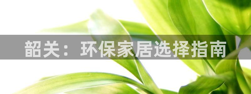 杏耀注册主管：韶关：环保家居选择指南