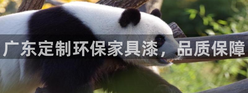 杏耀平台服务中心是干嘛的：广东定制环保家具漆，品质保障