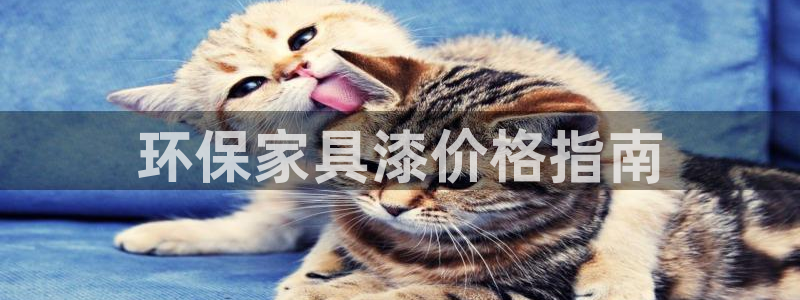 杏耀平台官方网站下载：环保家具漆价格指南