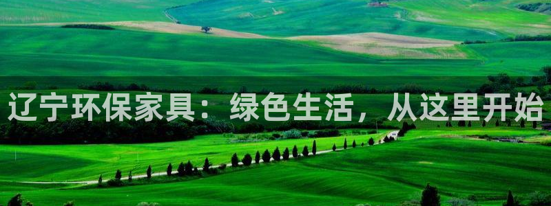 杏耀平台是真的吗：辽宁环保家具：绿色生活，从这里开始