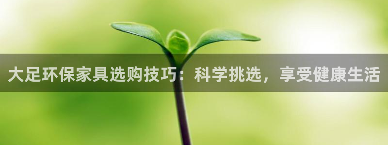 杏耀平台登录网站：大足环保家具选购技巧：科学挑选，享受健康生